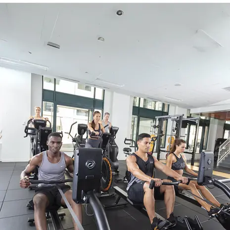 octane fitness fitness ro roeitrainer professionee 6